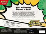 Mega Evolution: Ascended Heroes Mega Meganium ex Box ESPAÑOL