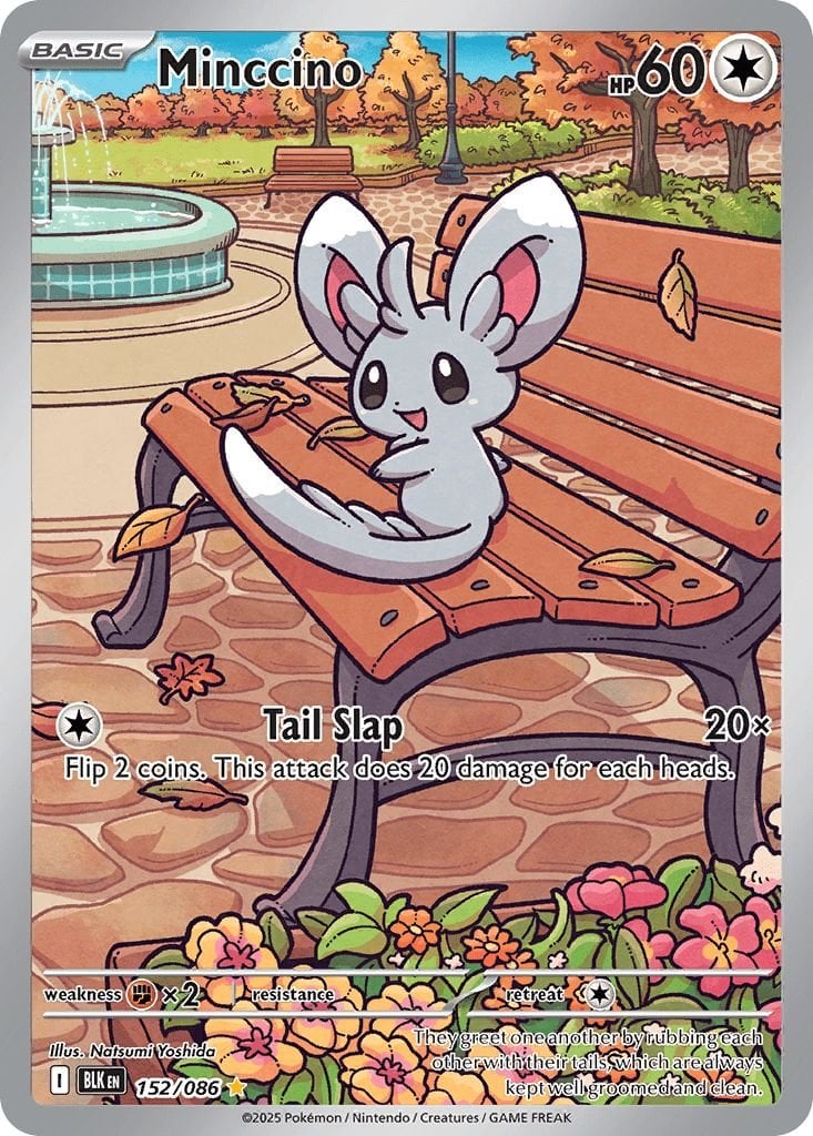 Minccino 152/086
